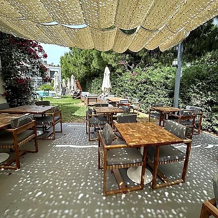 酒店 Malta Bodrum 古托克布库