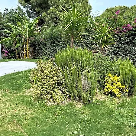 Malta Bodrum 4* Golturkbuku